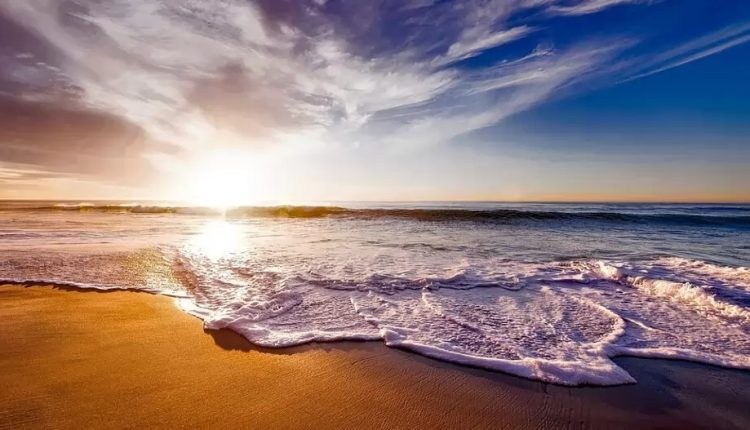 What began as an individual’s battle against plastic soon became a vast movement for politicians and businessmen to forge a new pact between humans and nature.