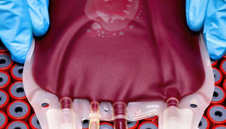 Building A Better Blood Bag.